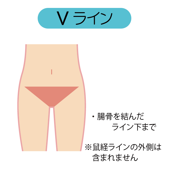 女性 Vライン